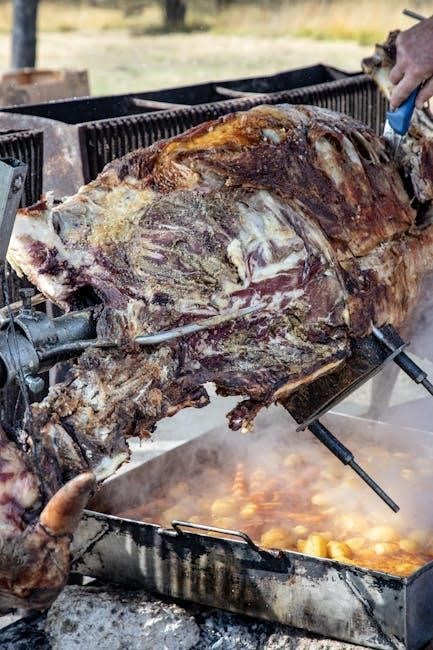 showtime rotisserie manual